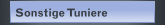 Sonstige Tuniere